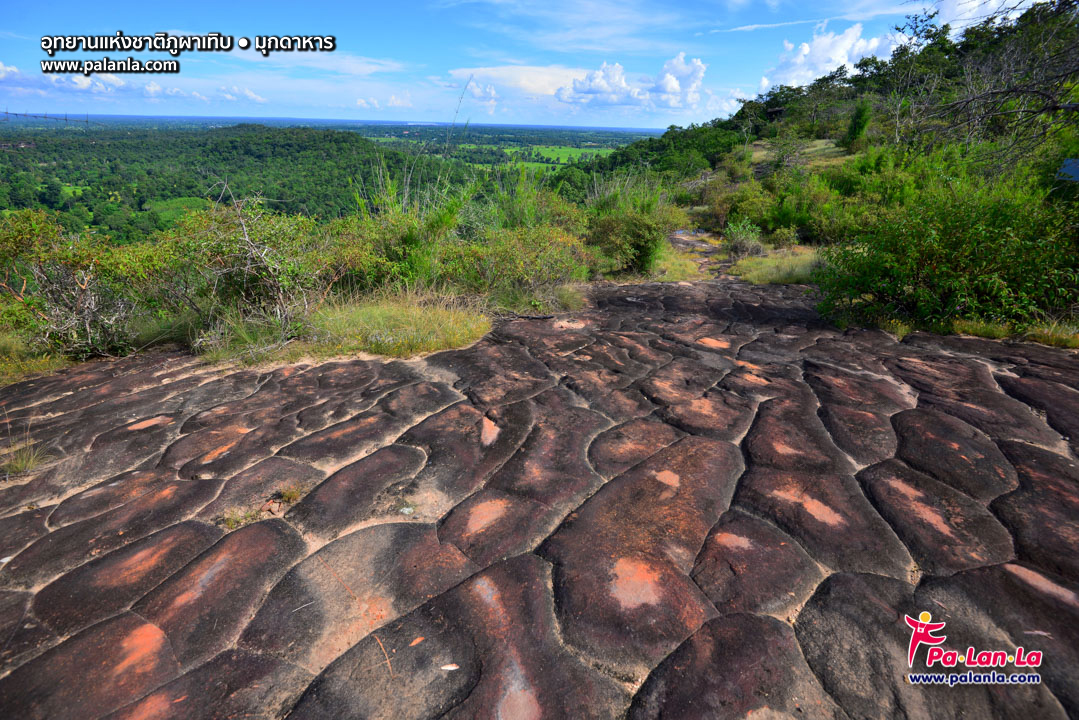 Phu Pha Toep National Park